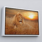 Beyaz Çerçeveli Erkek Aslan Dekoratif Kanvas Tablo