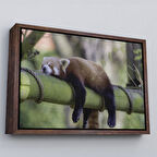 Kahverengi Çerçeveli Kırmızı Panda Dekoratif Kanvas Tablo