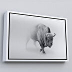 Beyaz Çerçeveli Bizon Dekoratif Kanvas Tablo