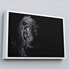 Beyaz Çerçeveli Kaplan Dekoratif Kanvas Tablo