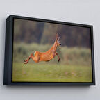Siyah Çerçeveli Koşan Geyik Dekoratif Kanvas Tablo