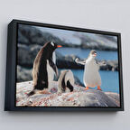 Siyah Çerçeveli Mutlu Penguenler Dekoratif Kanvas Tablo