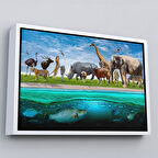 Beyaz Çerçeveli Hayvanlar Alemi Dekoratif Kanvas Tablo