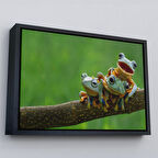 Siyah Çerçeveli Küçük Kurbağalar Dekoratif Kanvas Tablo