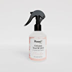 Manolya Ortam Tazeleyici