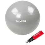 Delta 65 Cm Kutulu Pilates Topu Gümüş JRS660 