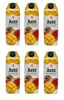 Juss Mango Aromalı İçecek 1 Lt X 6 Adet