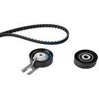 Triger Seti 144 DİŞ 206 207 C2 C3 BIPPER NEMO 