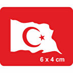 Dalgalanan Türk Bayrağı Tattoo Geçici Dövme Şablonları Kına Kalıpları