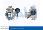 Kale 348980 EGR Valfi LT35 2.5TDI Ahd Apa ANJ Bbe Bbf AVR 97-06 074129463A