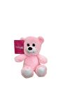 Ayıcık 25 Cm Pembe