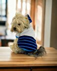 Blue Line Kapşonlu Sweatshirt Köpek Kıyafeti Köpek Elbisesi 