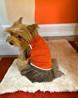 Basic Orange Atlet Köpek Kıyafeti  Köpek Elbisesi