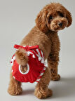 Red Frilly Dişi Köpek Regl Külotu | Köpek Donu | Köpek İç Çamaşırı | Ayarlanabilir Bağcıklı | Küçük Irklar İçin
