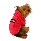 Pink Stars Kapşonlu Sweatshirt Köpek Kıyafeti 