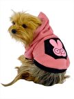 Student Rabbit Sweatshirt Köpek Kıyafeti Köpek Elbisesi