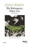 Bir Kırlangıcın Daha Var