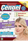 Fenomen Çengel Bulmaca 14