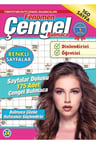Fenomen Çengel Bulmaca 24