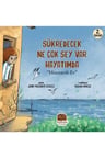 Şükredecek Ne Çok Şey Var Hayatımda