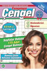 Fenomen Çengel Bulmaca 22