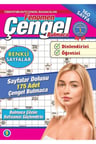Fenomen Çengel Bulmaca 9