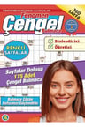 Fenomen Çengel Bulmaca 16
