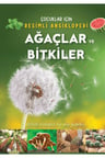 Ağaçlar ve Bitkiler
