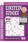 Einstein Sudoku 3