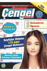 Fenomen Çengel Bulmaca 28
