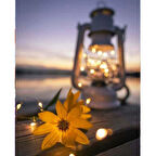 Canvas Işıltılı Kasımpatı Sayılarla Boyama Seti  Kasnaklı 40 x 50 cm