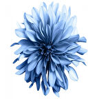 Canvas Sade Çiçekler 1 Sayılarla Boyama Seti  Kasnaklı 40 x 50 cm