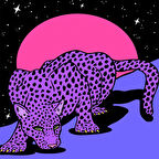 Canvas Uzaydaki Leopar Sayılarla Boyama Seti  Kasnaklı 40 x 50 cm