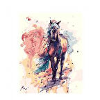 Canvas Düşlerdeki At Sayılarla Boyama Seti   Kasnaklı 40 x 50 cm