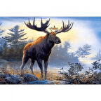 Canvas Geyik ve Orman Sayılarla Boyama Seti  Kasnaklı 40 x 50 cm