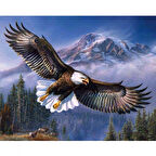 Canvas Gökteki Kartal Sayılarla Boyama Seti  Kasnaklı 40 x 50 cm