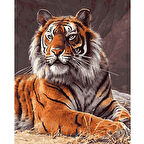 Canvas Güçlü Kaplan Sayılarla Boyama Seti  Kasnaklı 40 x 50 cm