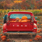 Canvas Balkabakları Ve Köpek Sayılarla Boyama Seti   Kasnaklı 40 x 50 cm