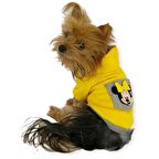 Sarı Sevimli Fare Kapşonlu Sweat by Kemique Köpek Kazağı 