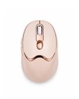 Ofis ve Laptop Kullanımına Uygun Şarjlı Wireless Mouse Sessiz Tuşlu - Lisinya