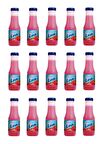Link Çilek Aromalı İçecek 200 Ml X 15 Adet