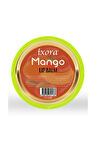 Mango Özlü Nemlendirici Dudak Bakım Kremi Lip Balm 20 ml