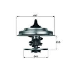 Mahle-Knecht-Behr TX1875D Termostat 75 CC Conta IIe Mercedes Renault Iveco 4749724