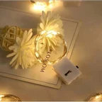 Pil 2M li Peri Led Beyaz Işık