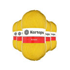 5 Adet Kristal Çift Katlı El Örgü Lif İpi Sarı K301