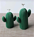 Kaktüs Mum 2li Set Yeşil Rekli