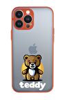 iPhone 13 Pro Max Uyumlu Teddy Desenli Kamera Korumalı Buzlu Şeffaf Lüx Telefon Kılıfı