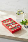 15 Hazneli Silikon Buz Kalıbı & Çok Amaçlı Buzluk Ve Dondurucu Organizeri 12x19 cm