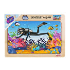 CEYLAN ADAM   ONY-187-188-189-190 Ahşap Eğitici Puzzle Denizde Yaşam