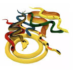 CEYLAN ADAM   Böcekler ve Yılanlar Poşetli